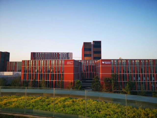 安徽彩屏背光源扩散膜销售价格